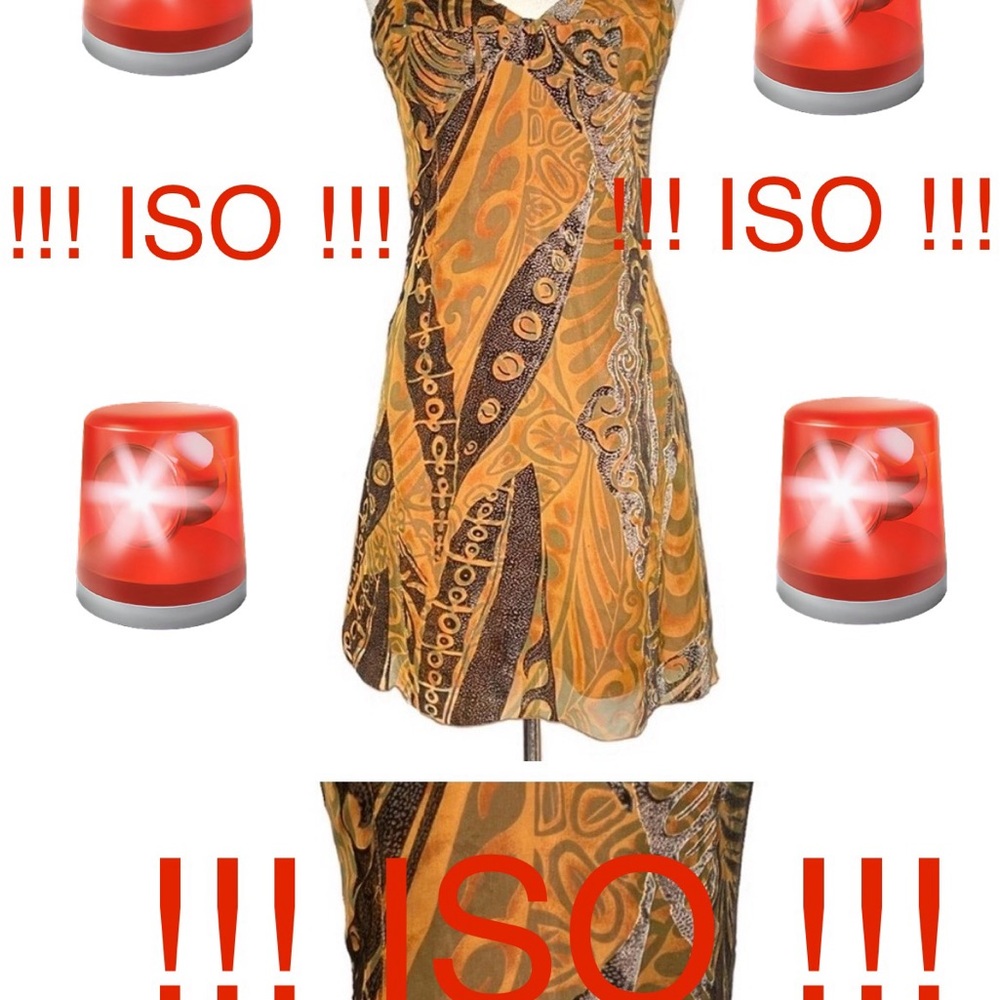 ISO THIS ANNA SUI DRESS IN SIZES 8 and up! (I can take it in if needed)